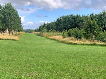 Forestry path to the site
