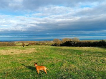 A dog friendly field with a view