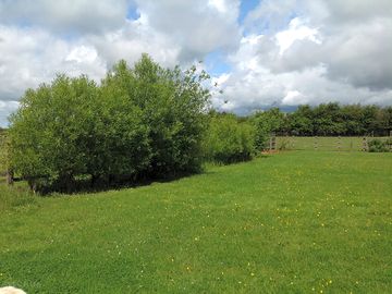 Camping field