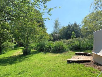 View of the site