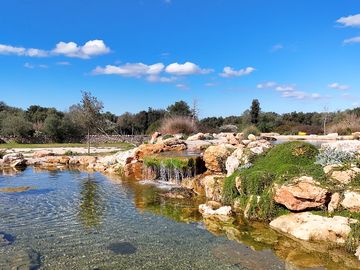 The bio lake