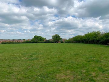 Looking across the field