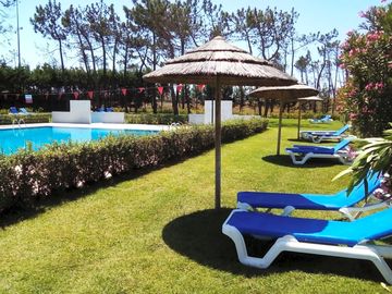 Loungers by the pool