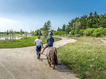 Balade à poney les vendredis après-midi en été