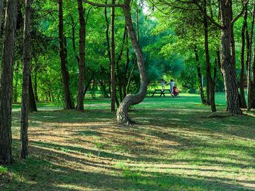 Picnic area