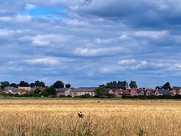 View on our walk to stretham