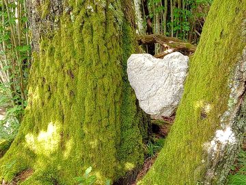 Land art