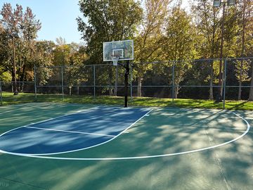 Basketball court