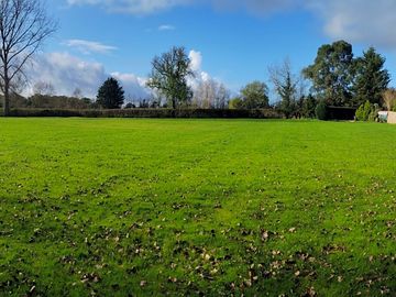 The poplars campsite