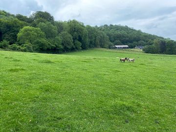 Ashford hangers behind the farm