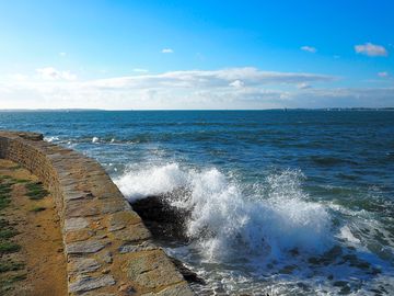 The wild side of the sea