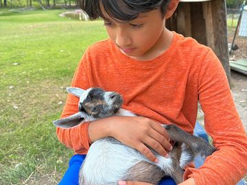 Petting zoo