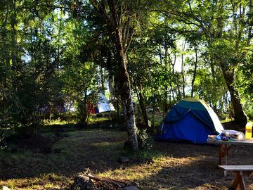Surrounded by woodland