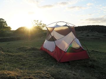 Evening sunshine