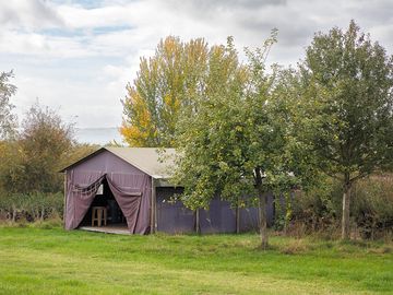 Safari tent exterior