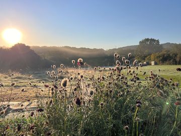 Sussex countryside at its best, the campsite has so many hidden pitches