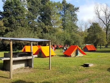 Sector descampado de carpas