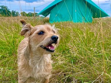 Furry friends welcome! dog bowls and waste bags available on request.
