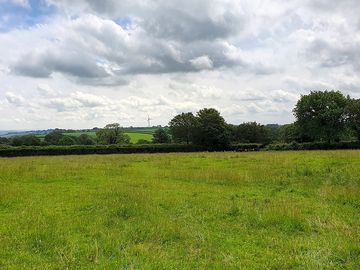Grassy plots