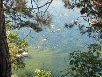 Swimming in the afternoon