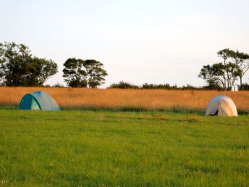 Camping at heal somerset