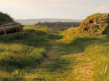 Path to the woods