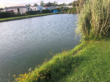 Fishing pond