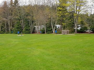 Pitches among the trees