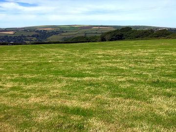 Grass pitches