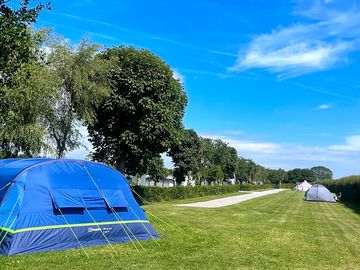 Grass pitches