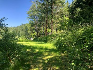 Tree-lined pitches