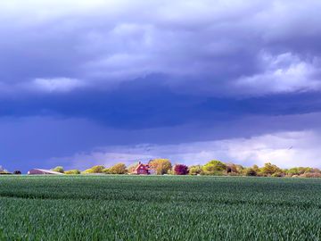 Farm views