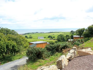 View across the site