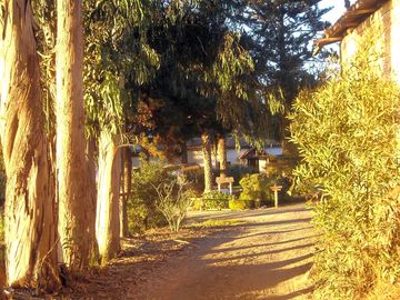 Site entrance