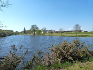 Looking over the fishing lake