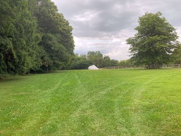 Grassy space around the site