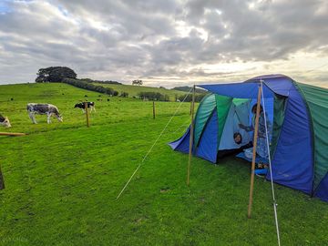 Spacious grass pitches