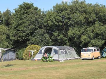 Well-kept camping pitches