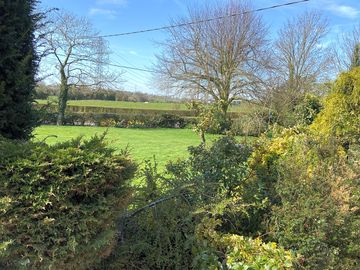 Simple country living
