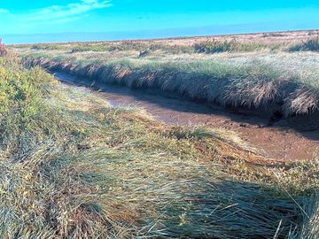 Agar creek accessed from pontoon