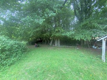 Tree-sheltered pitch