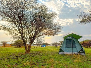 Spacious grass pitches