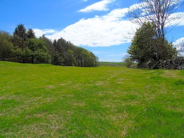 Grass pitches