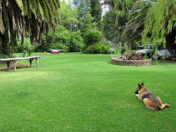 Surrounding gardens