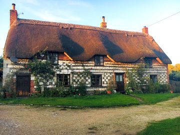 The house