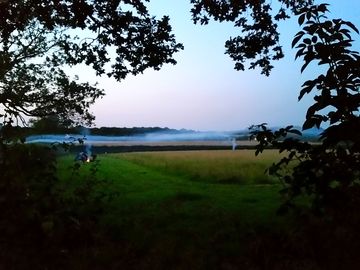 Misty hedgerows and trees surrounding the pitching field