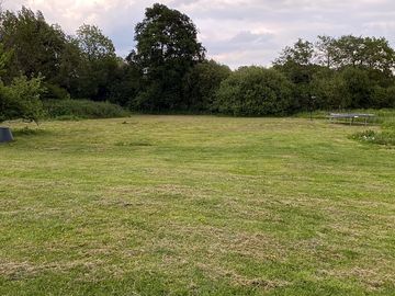 View of the field