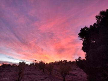 Sunset from the pitches