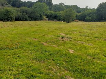 Pitch where you like