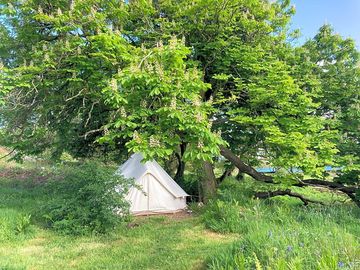 Campers on site